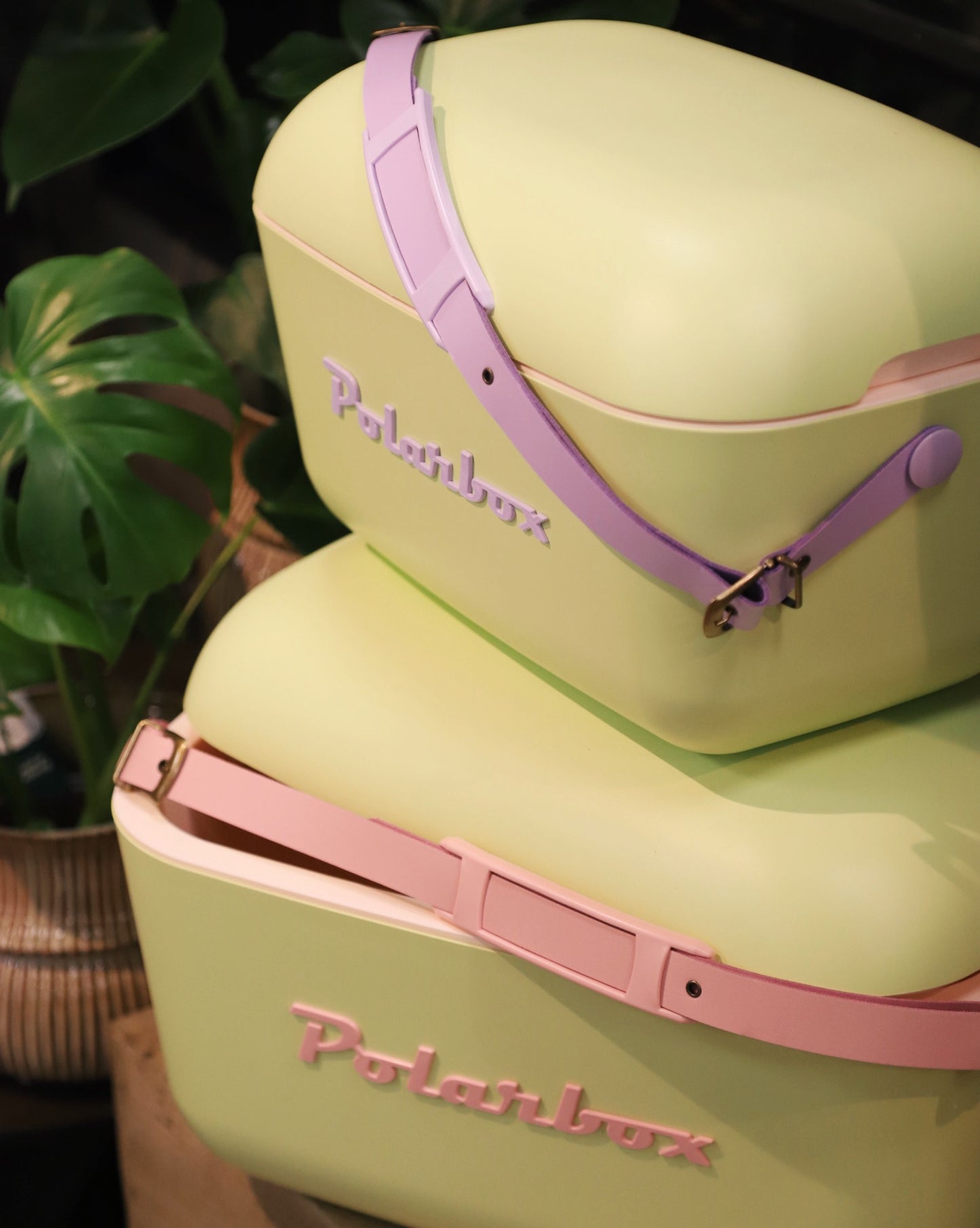 Polarbox Lime 12 liter