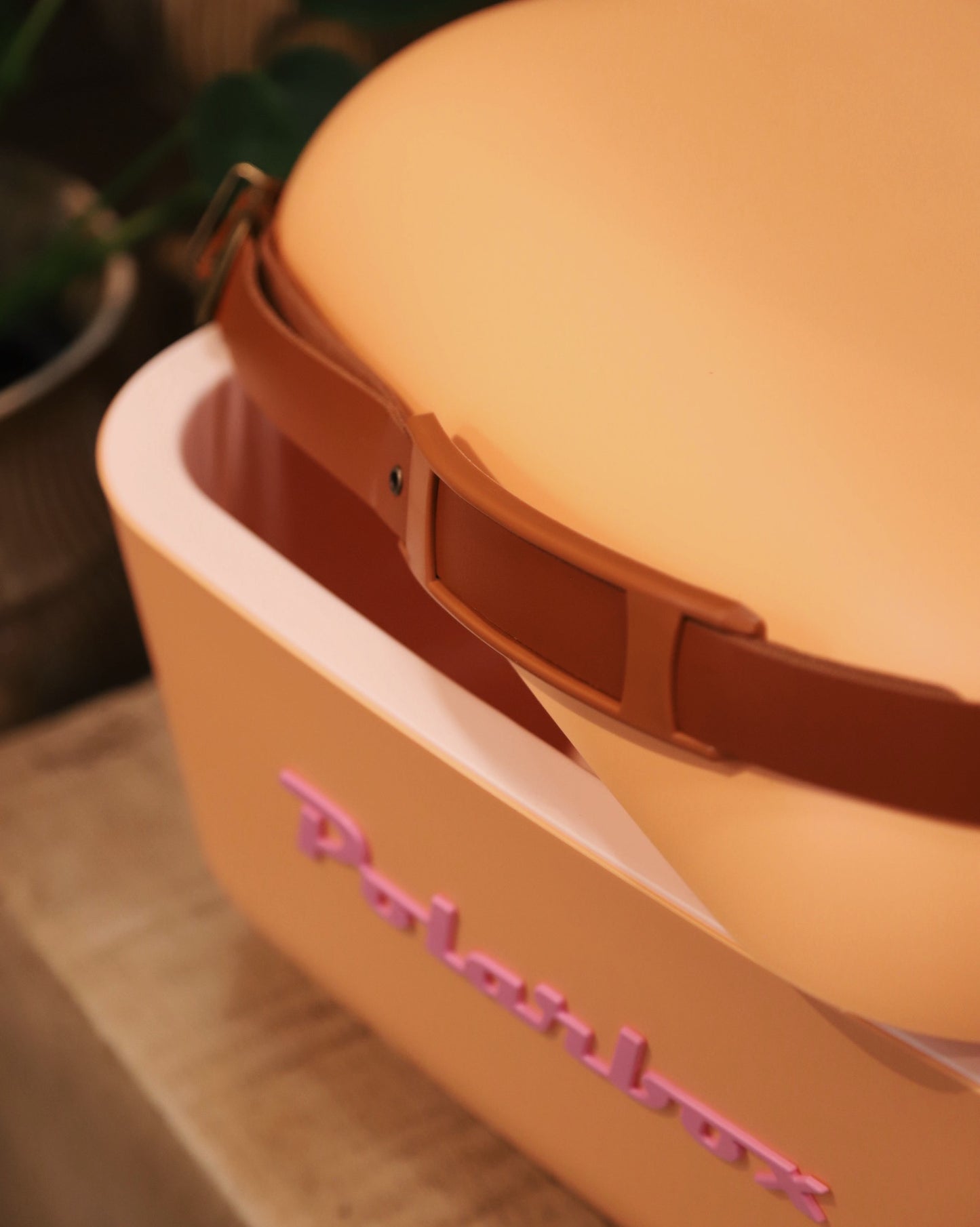 Polarbox Aprikos 20 liter