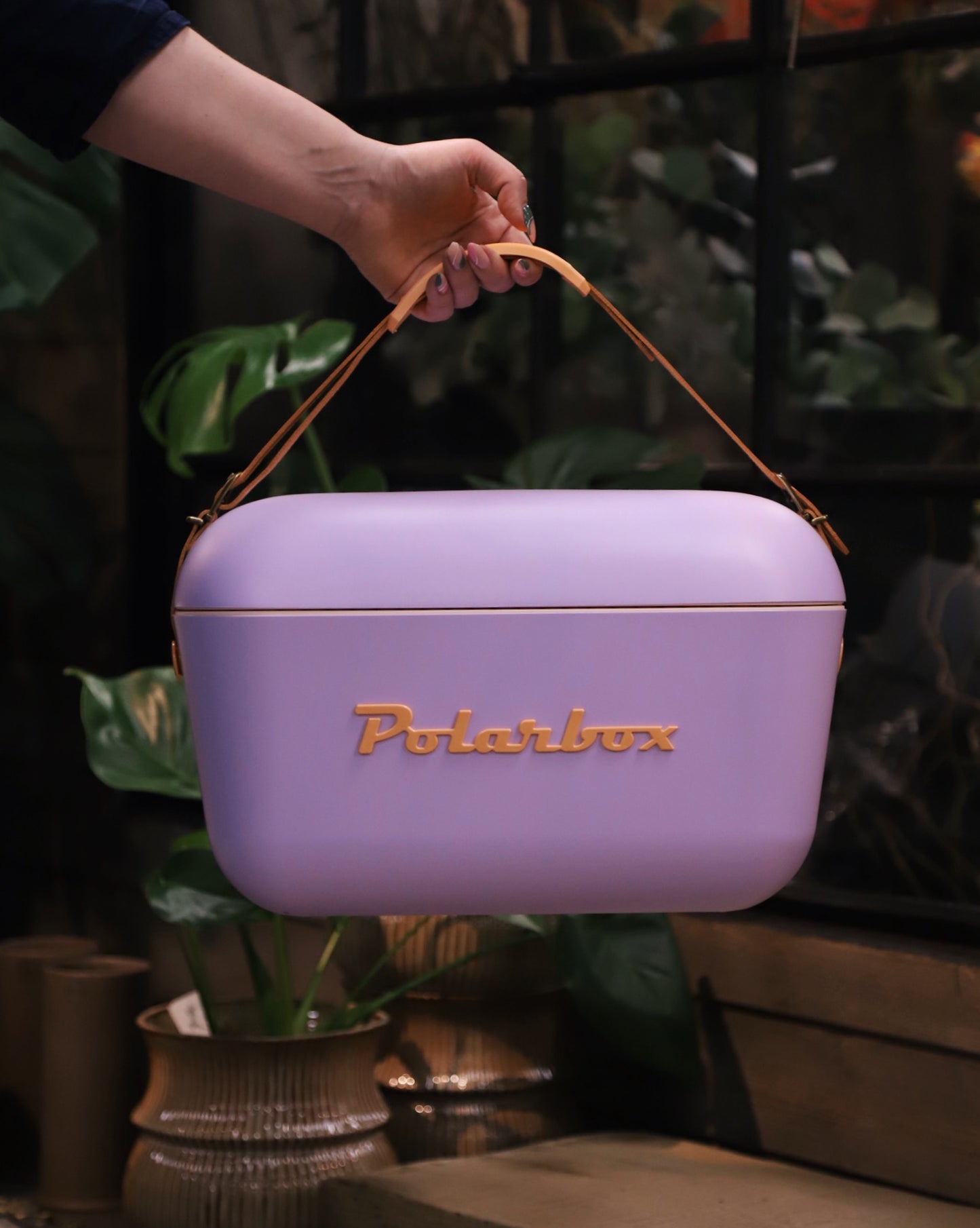 Polarbox Lila 12 liter