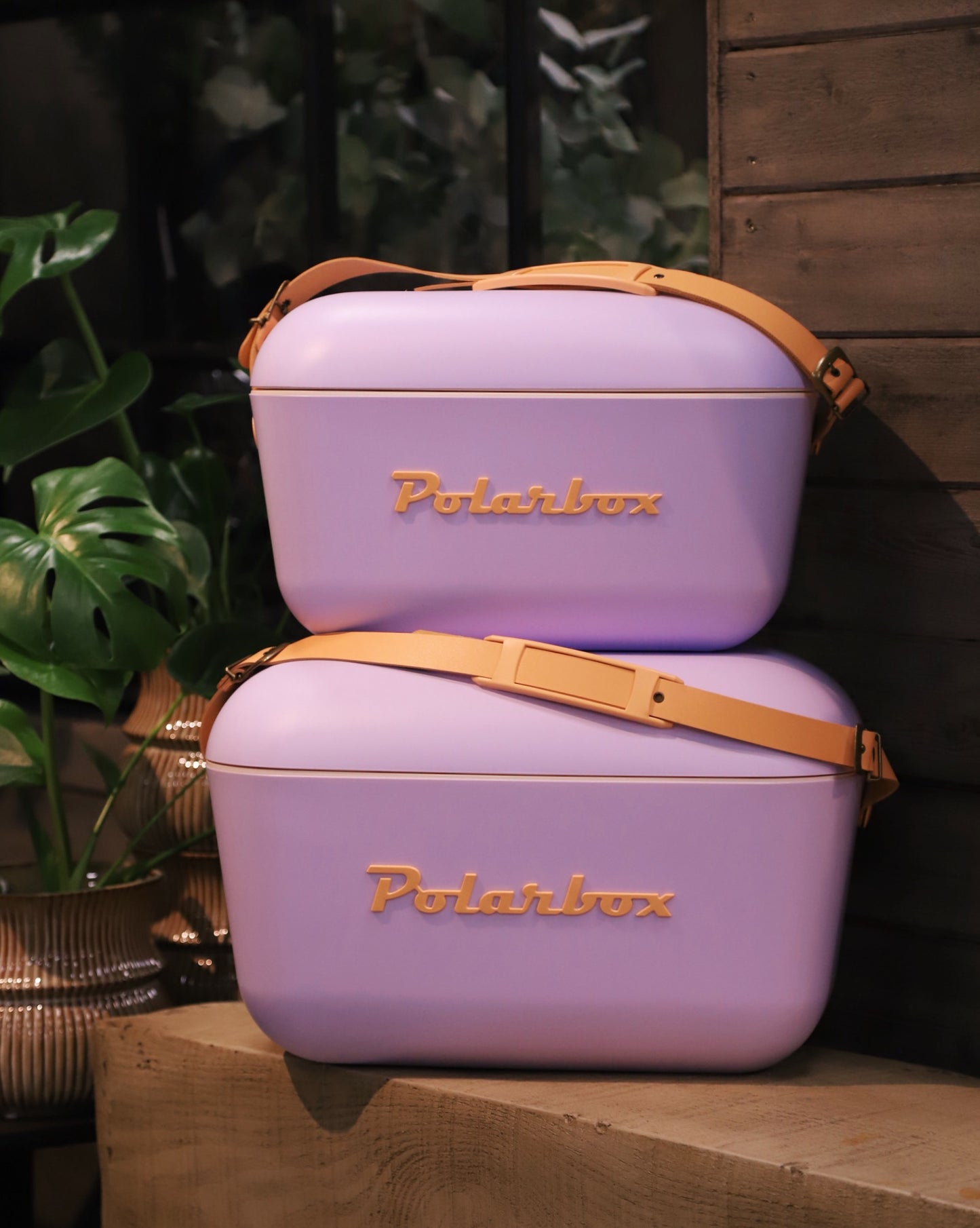 Polarbox Lila 20 liter