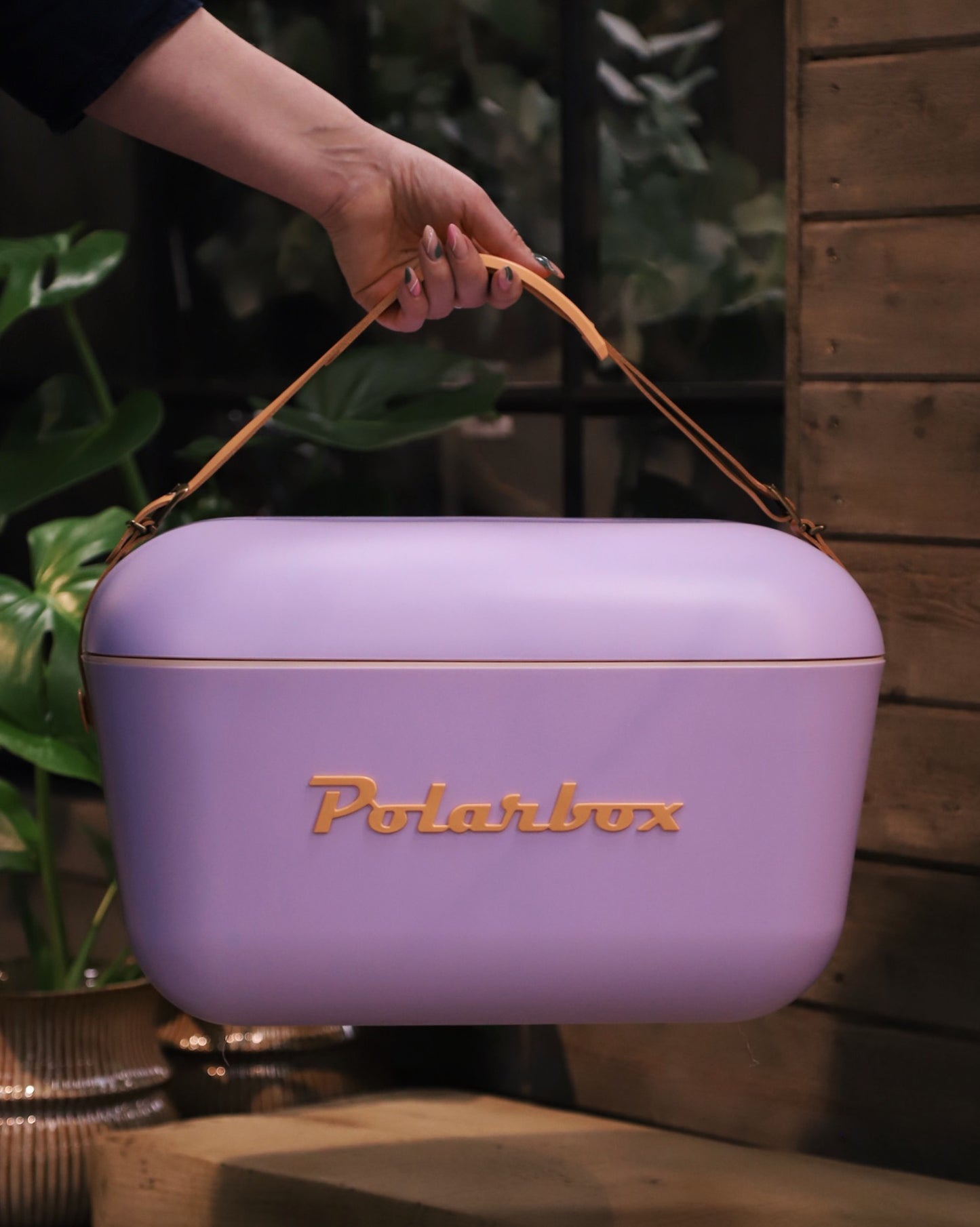 Polarbox Lila 20 liter