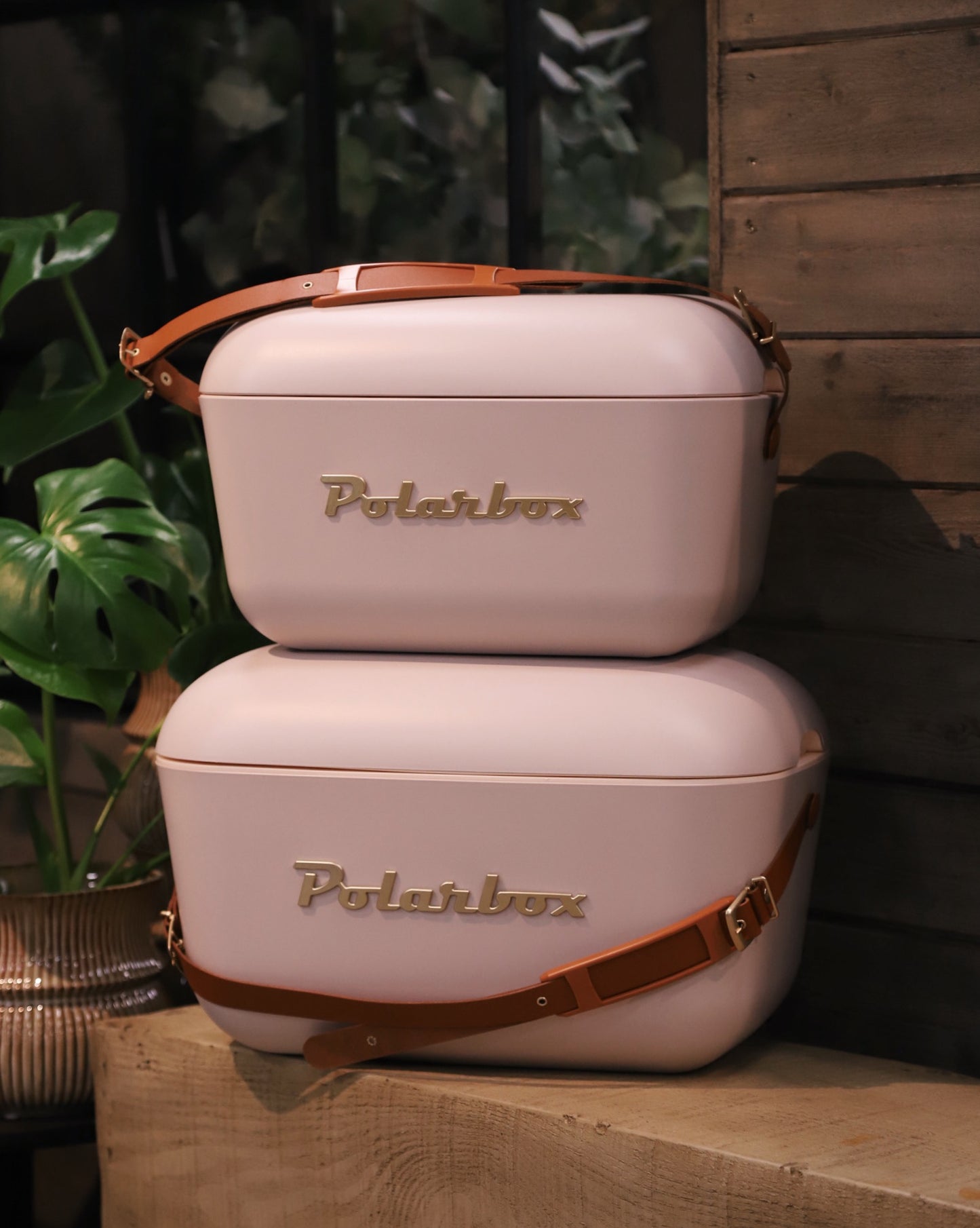 Polarbox Gammelrosa 20 liter