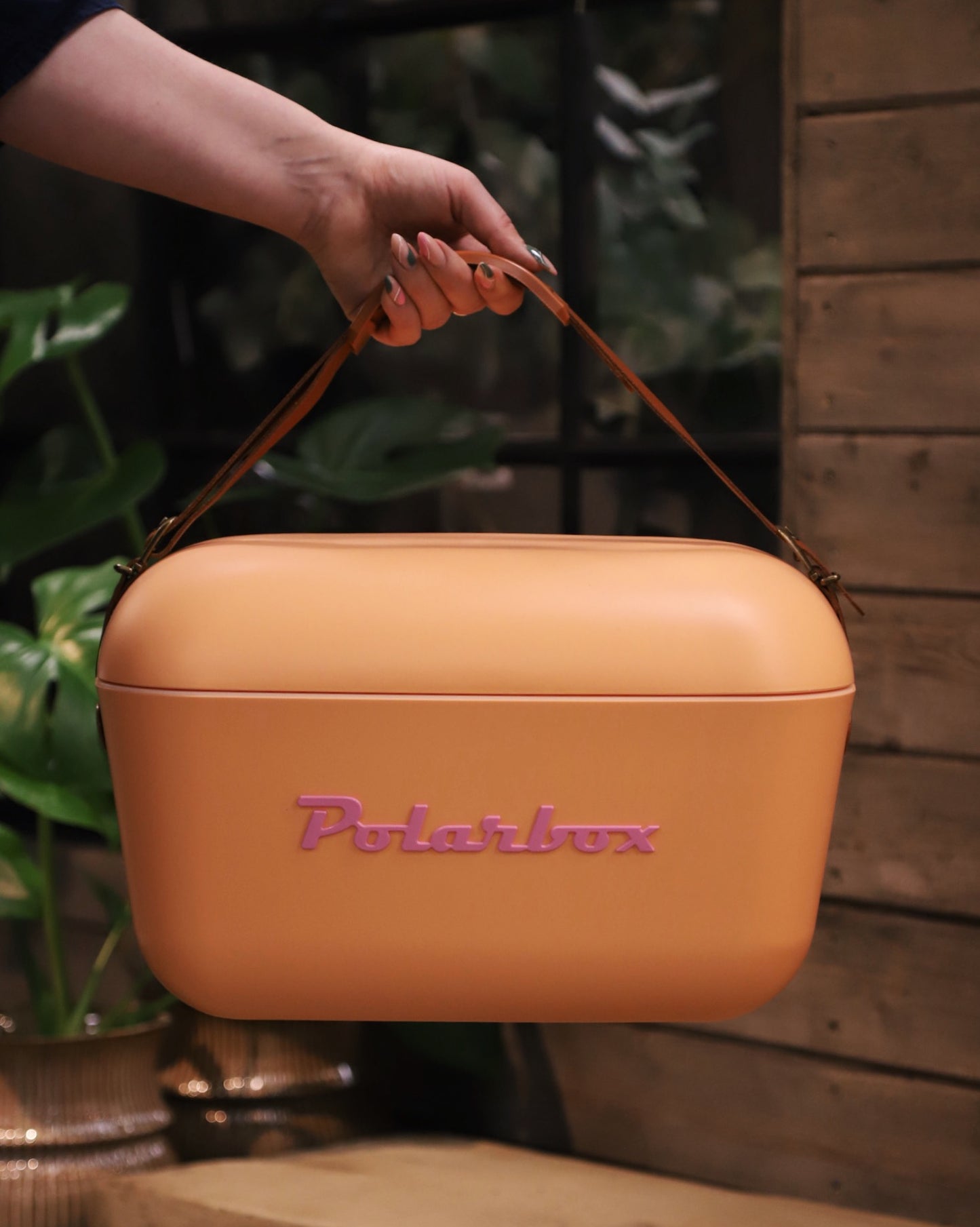 Polarbox Aprikos 12 liter