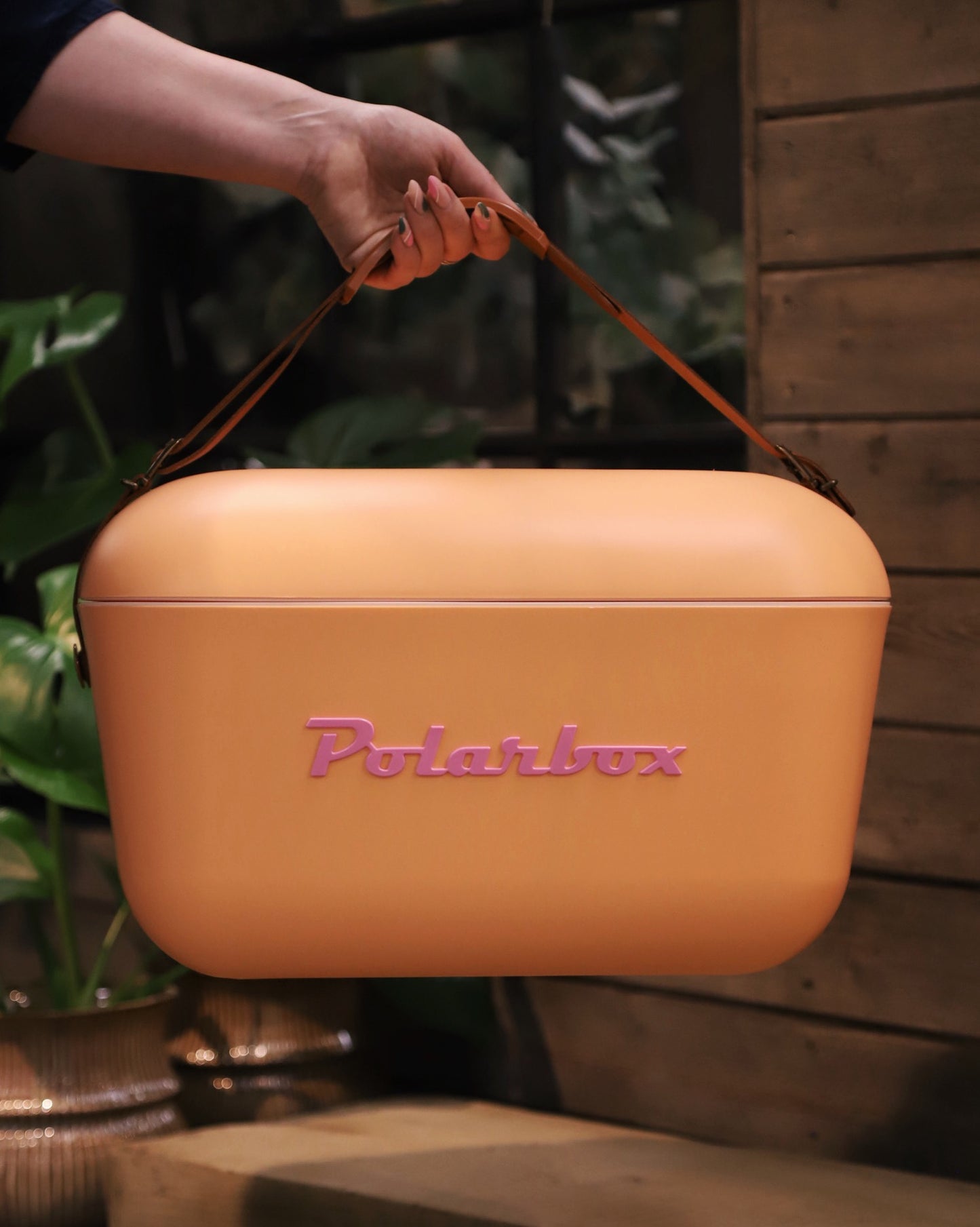 Polarbox Aprikos 20 liter